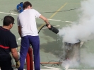 Bomberos y simulacro